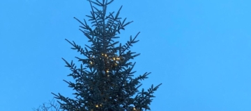 PHOTO-2025-12-23-13-52-54